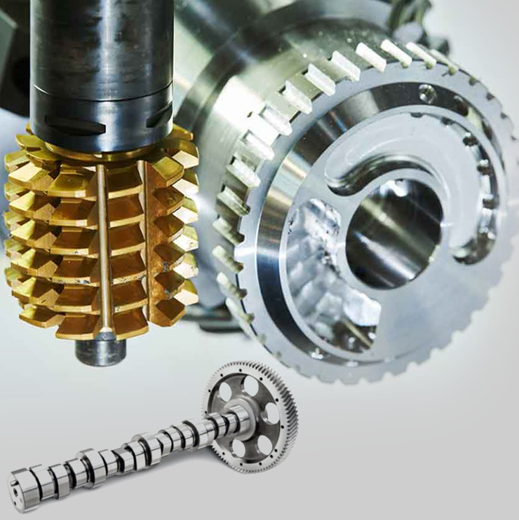 Worm Gear